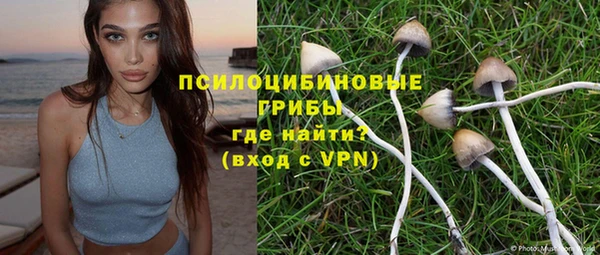 a pvp Магас