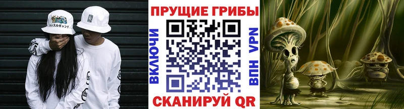 Галлюциногенные грибы Cubensis Правдинск